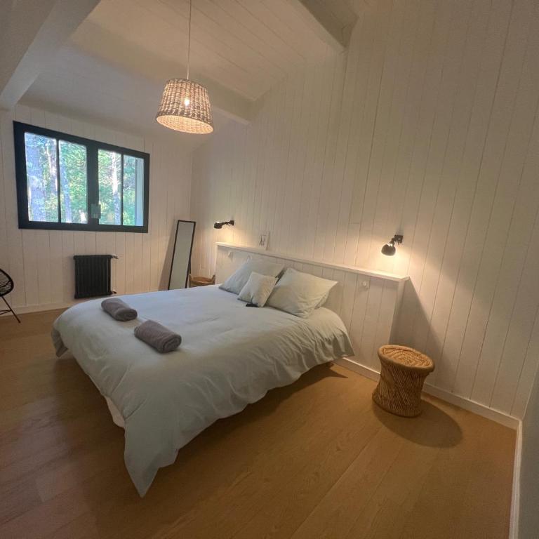 La Cabane du Cap Ferret - Villa - 27