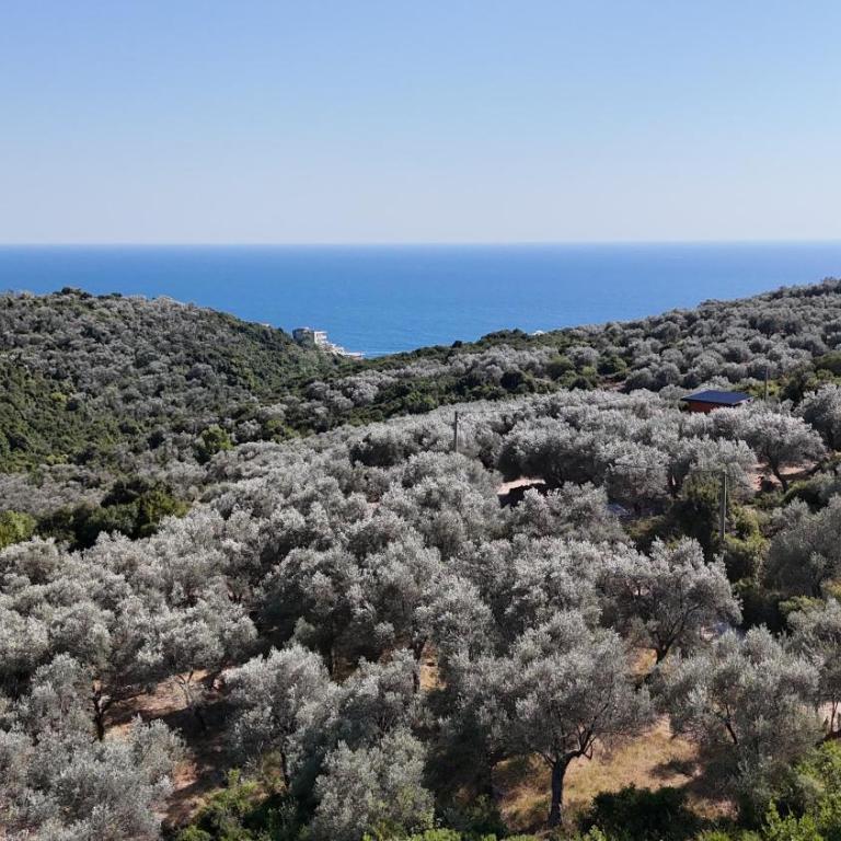 Olive stone house, Ulcinj - Vikendica - 12