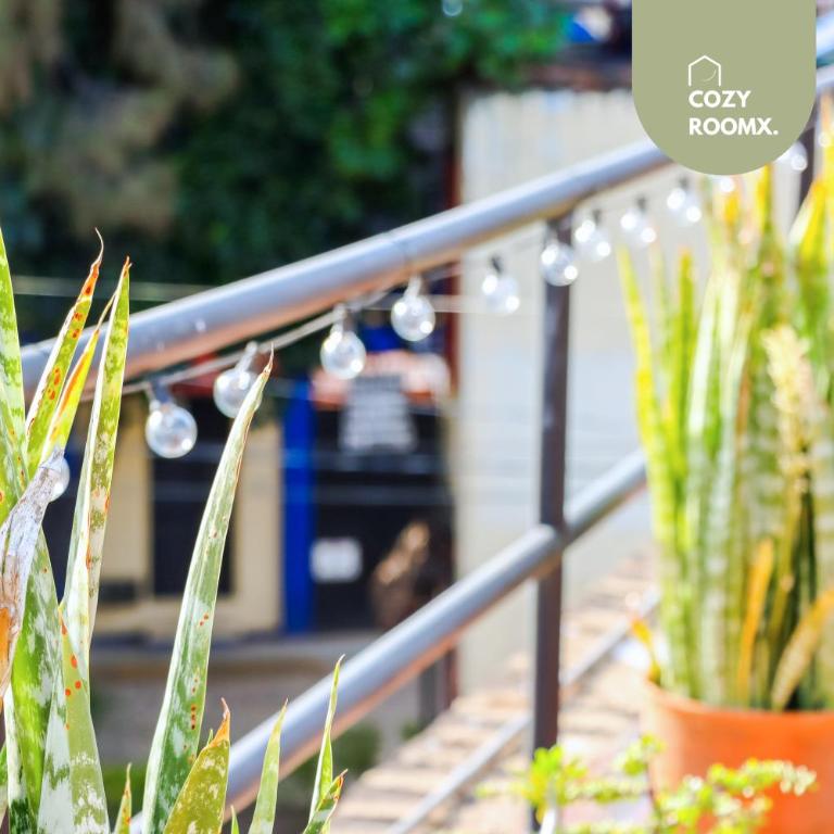 Depa 3Hab Terraza Pet F Parking 100MB - Apartamento de 3 dormitorios - 13