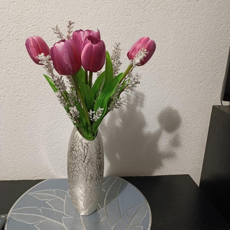 Apartment SiE - One-Bedroom Apartment - 18