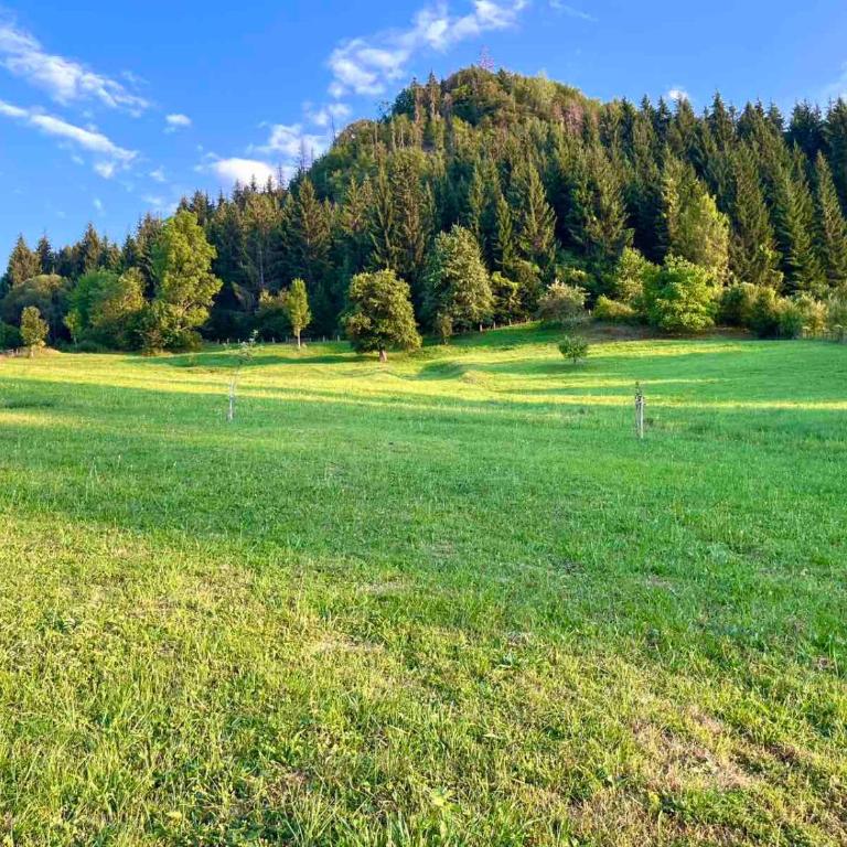 Vikend kuća Vrelo Miljacke - Two-Bedroom House - 36