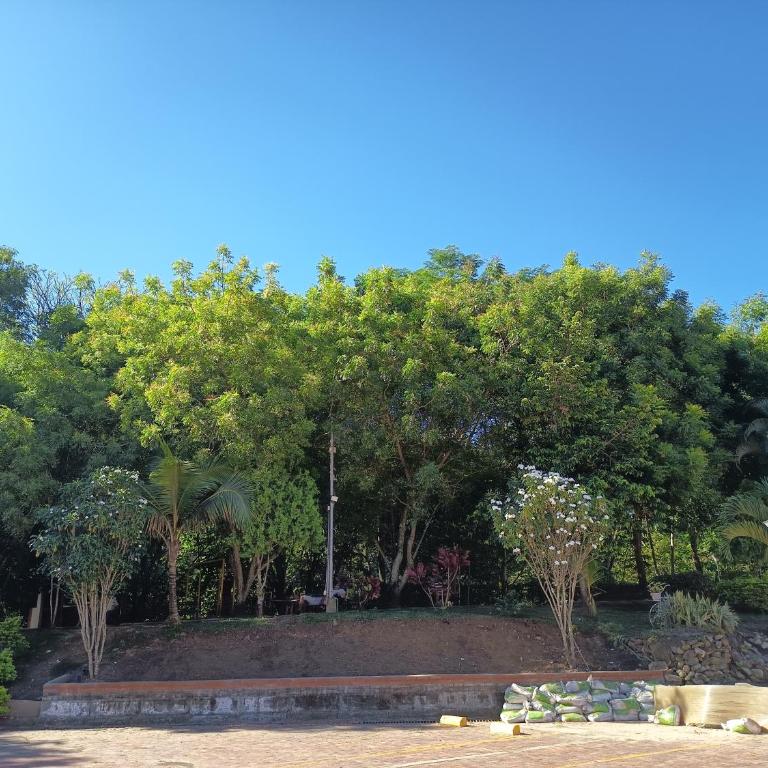 Apartamento Porvenir - One-Bedroom Apartment - 10