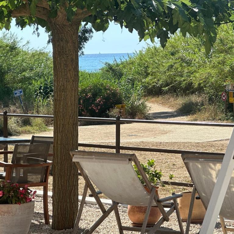 Le Clos des Sept Palmiers - Chambre double supérieure au rez-de-chaussée - 17