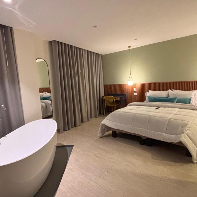 HOTEL COMFORT INN Torre B - Deluxe Queen Suite - 6