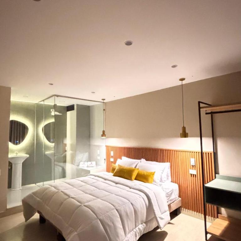 HOTEL COMFORT INN Torre B - Deluxe Queen Suite - 2
