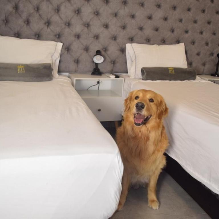 Tu hogar de lujo en Villanueva - Apartamento de 2 dormitorios - 29