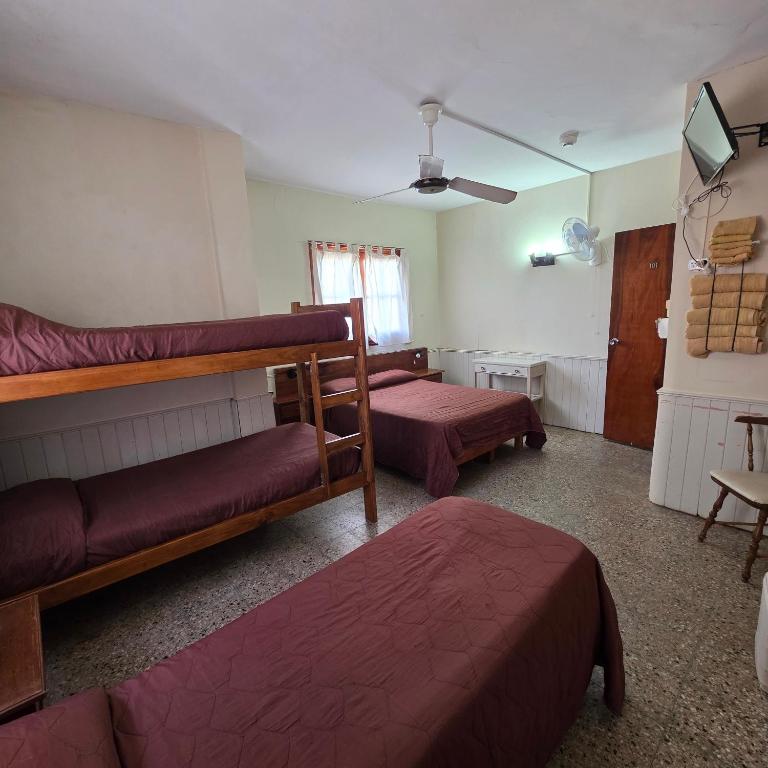 Hotel Sur - Habitación Familiar - 3