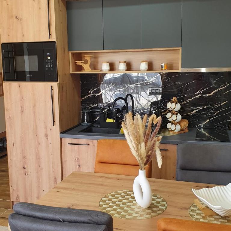 Apartmani Kasandra Wellness Spa A203 President Kop Kopaonik - Apartman sa 1 Spavaćom Sobom - 37