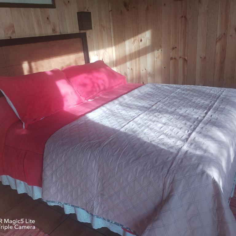 Cabañas y Hostal Karibe - One-Bedroom Apartment - 24