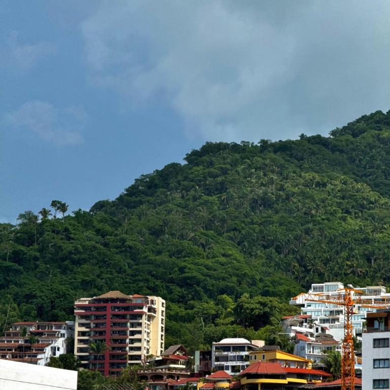 Departamento Tortuga - Two-Bedroom Apartment - 22