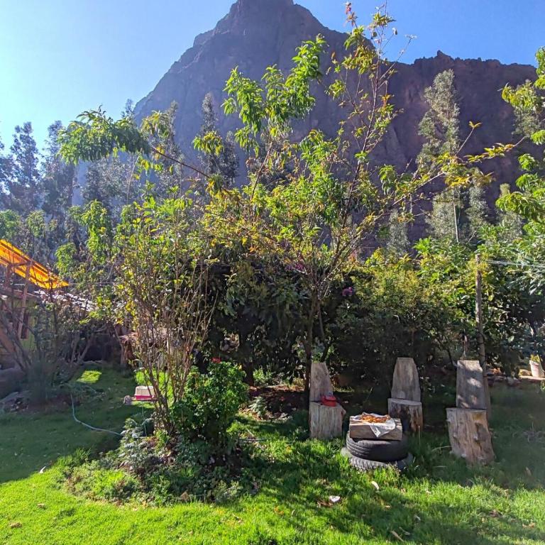 Vista a la Montaña Habitación Pet Friendly - Apartamento de 1 dormitorio - 7