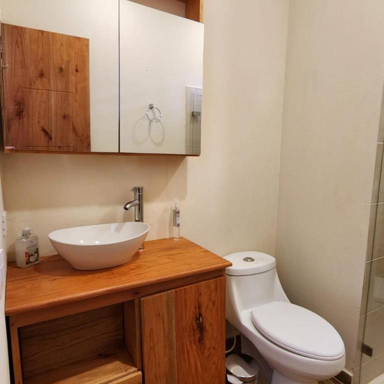 Casa Colonial Jericó - Casa Romo - Apartamento de 3 dormitorios - 14