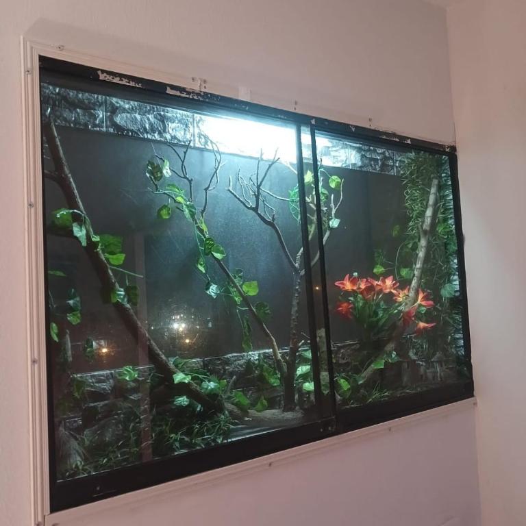 Freestyle Home - Two-Bedroom Apartment - 3