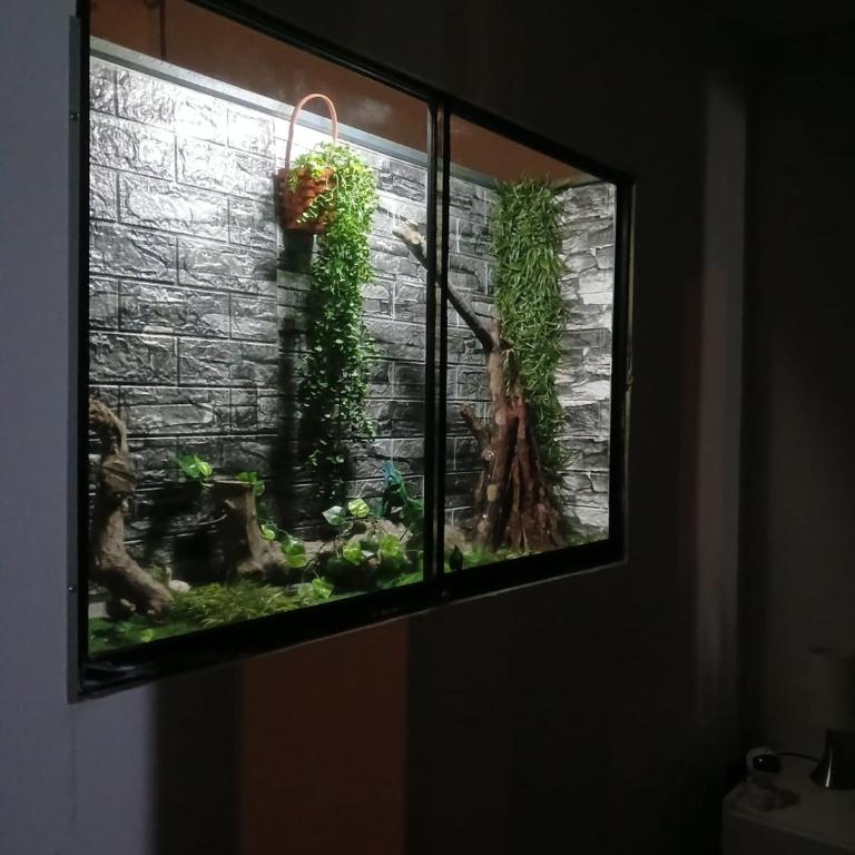 Freestyle Home - Two-Bedroom Apartment - 37