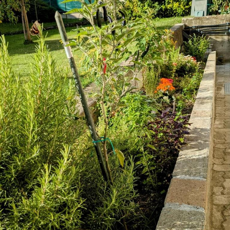 La Mansarda dei Tre Cipressi - Appartamento con 2 Camere da Letto - 30