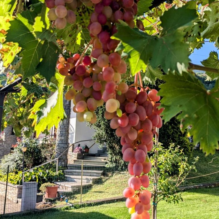 La Mansarda dei Tre Cipressi - Appartamento con 2 Camere da Letto - 32