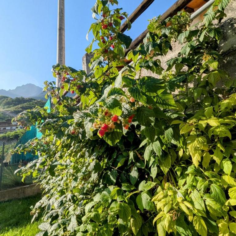 La Mansarda dei Tre Cipressi - Appartamento con 2 Camere da Letto - 28