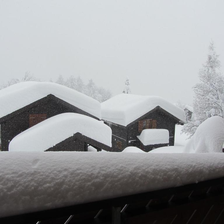 Family Stay in Aletsch Alps - Apartment mit 2 Schlafzimmern - 17