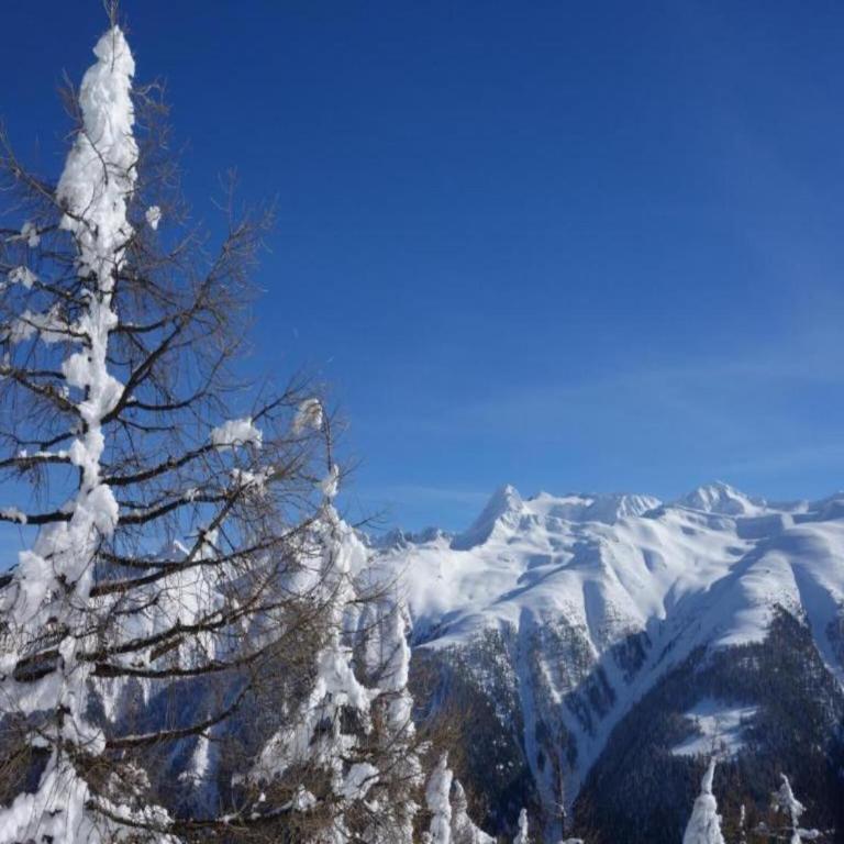 Family Stay in Aletsch Alps - Apartment mit 2 Schlafzimmern - 25