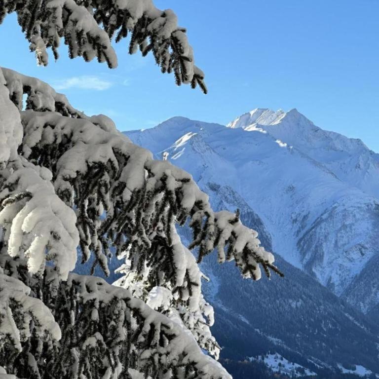 Family Stay in Aletsch Alps - Apartment mit 2 Schlafzimmern - 31