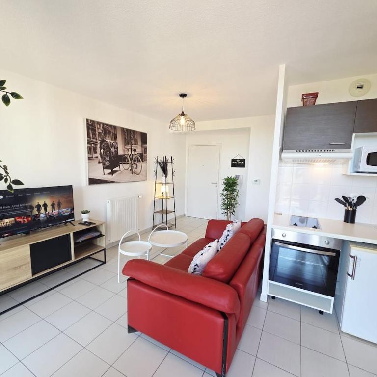 Charmant T2 avec grande terrasse - Appartement 1 Chambre - 1