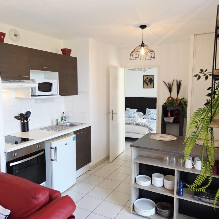 Charmant T2 avec grande terrasse - Appartement 1 Chambre - 7