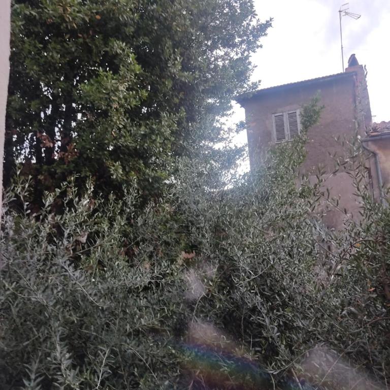 il Profferlo - Appartamento con 2 Camere da Letto - 22