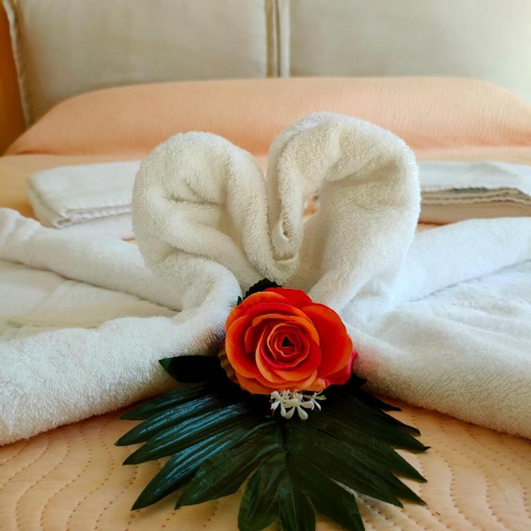 SUNFlower - Appartamento con 1 Camera da Letto - 3