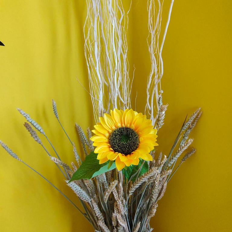 SUNFlower - Appartamento con 1 Camera da Letto - 4