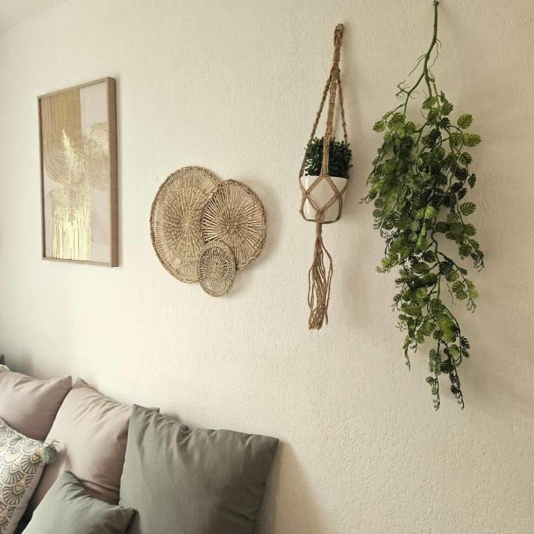 Charming studio - Appartement 1 Chambre - 4