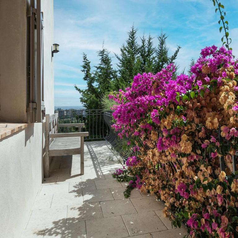 Mandelieu Villa with Rooftop - Five-Bedroom Villa - 33