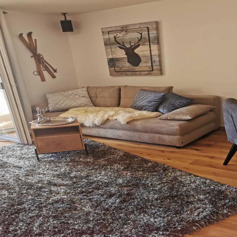 Ski-In Area Apartment with Ski Bus - Apartment mit 2 Schlafzimmern - 10