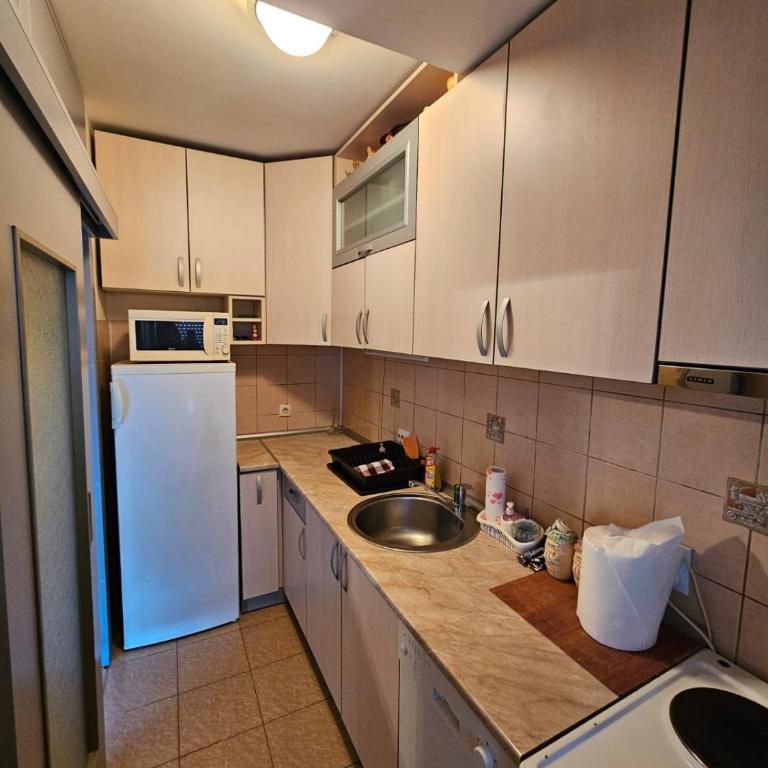 Apartman Glavna - One-Bedroom Apartment with Terrace - 10