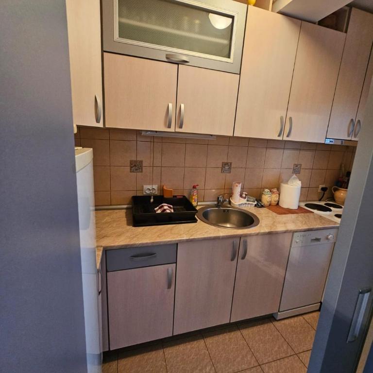 Apartman Glavna - One-Bedroom Apartment with Terrace - 9