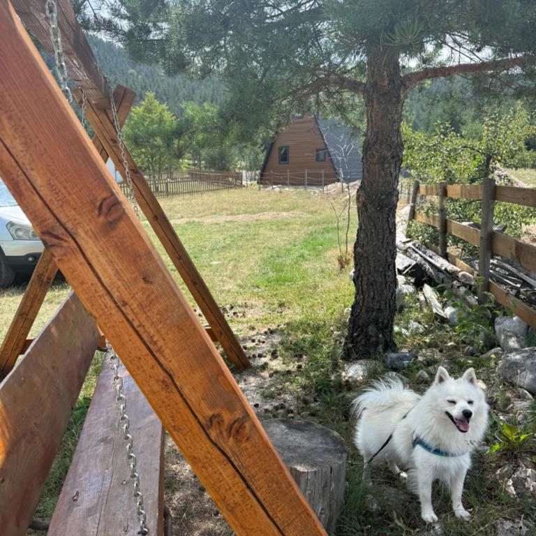 Cottage Angel - Two-Bedroom House - 2