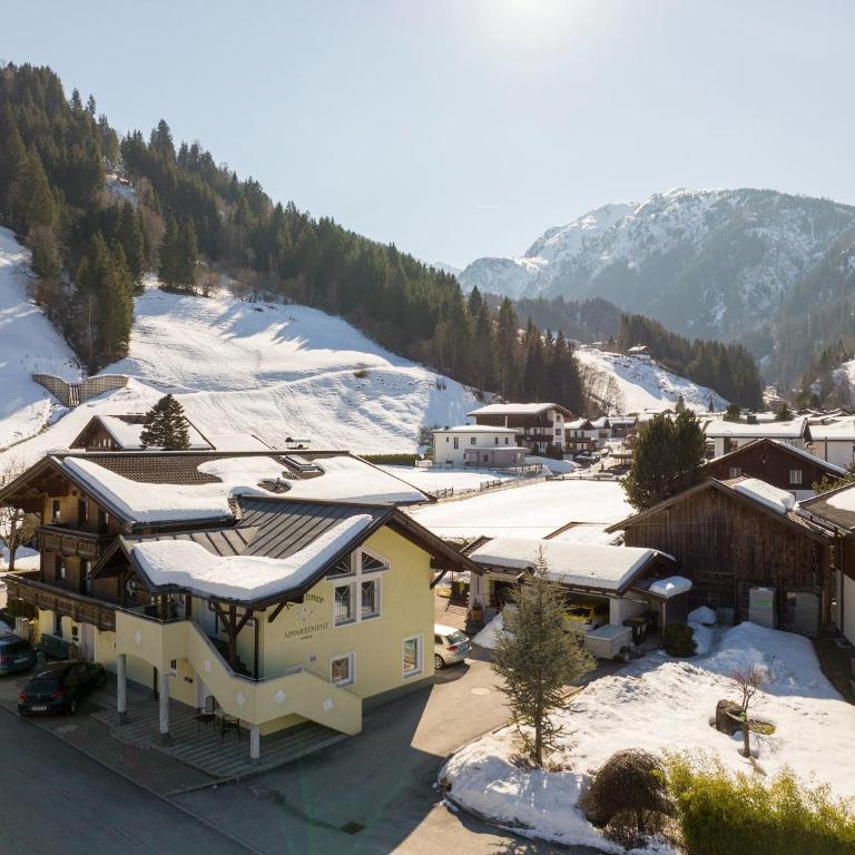 Apartment in Hollersbach near Ski Lift - Apartment mit 2 Schlafzimmern - 23