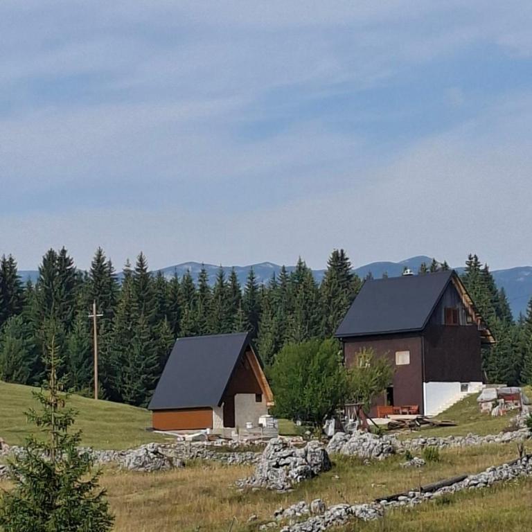 Village house Popovic - Studio with Mountain View - 1