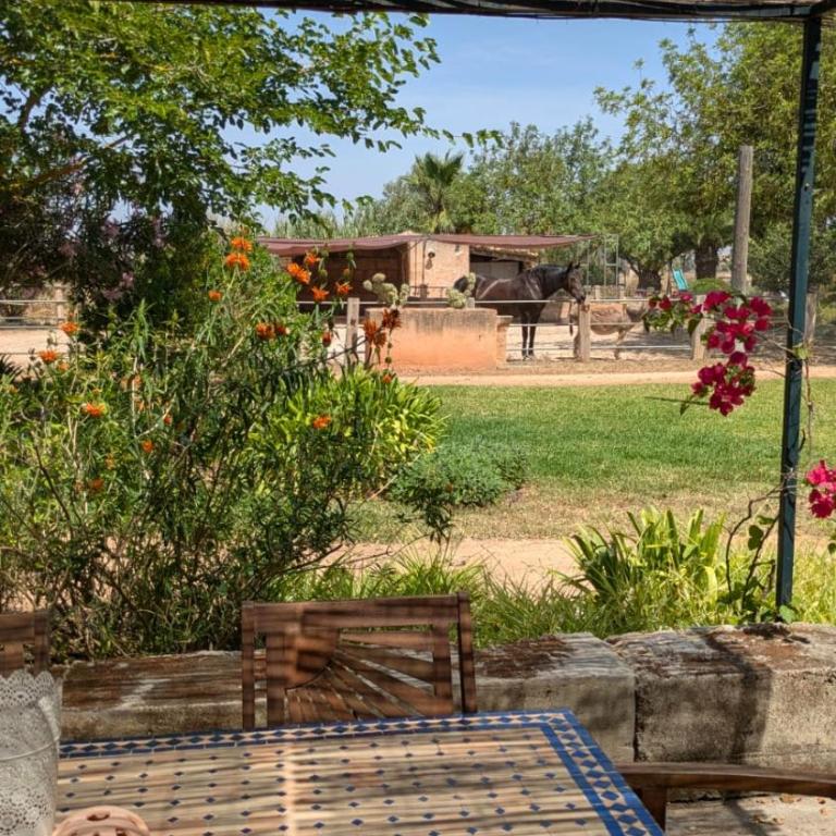 Agroturismo Finca Sant Blai - Bungalow Familial - 9