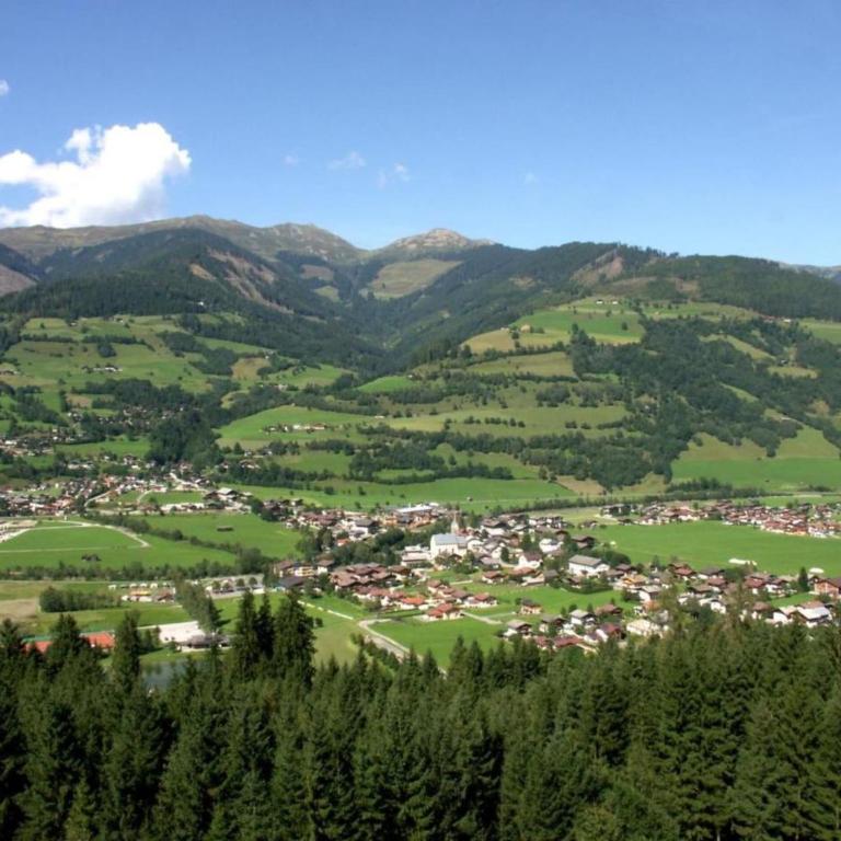Chalet in Niedernsill near Ski Slopes - Four-Bedroom Vacation Home - 28
