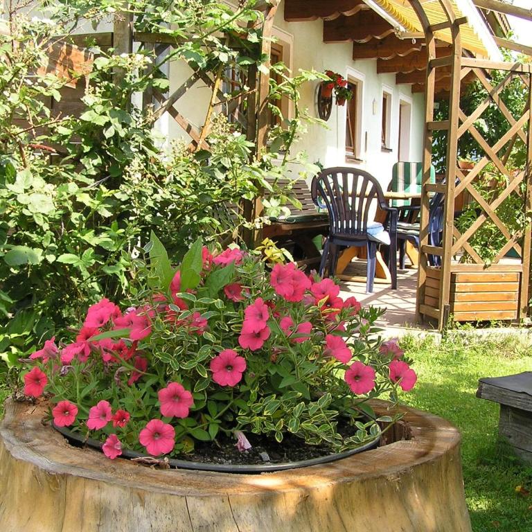 Apartment in Embach near Gastein Ski Area - Apartment mit 2 Schlafzimmern - 13