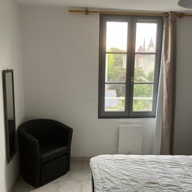 Grand appartement centre ville château St Pierre - Appartement 2 Chambres - 20