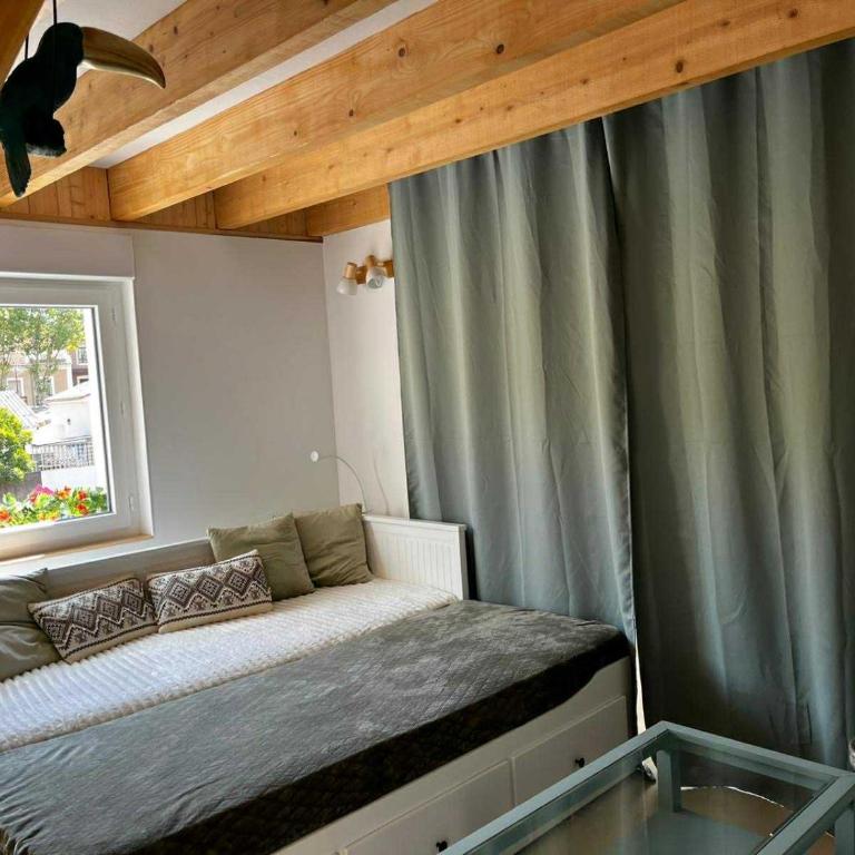 Villa septembre logement VANILLE - Appartement 1 Chambre - 18