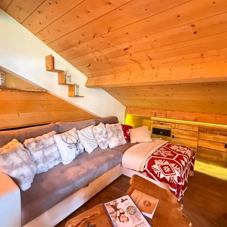 Lovely apartment facing the Valberg slopes - Apartment - 8