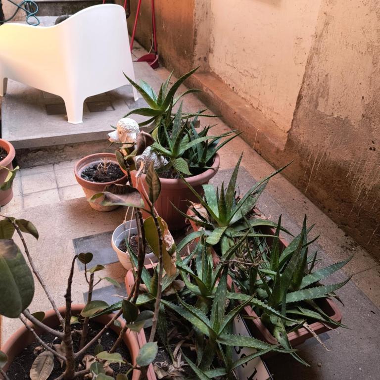 Casa per gente giovane - Apartment mit 1 Schlafzimmer - 6