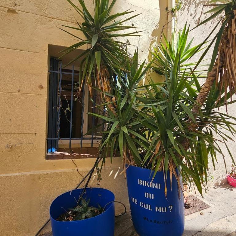 Le panier à vos pieds - Apartamento de 1 dormitorio - 45