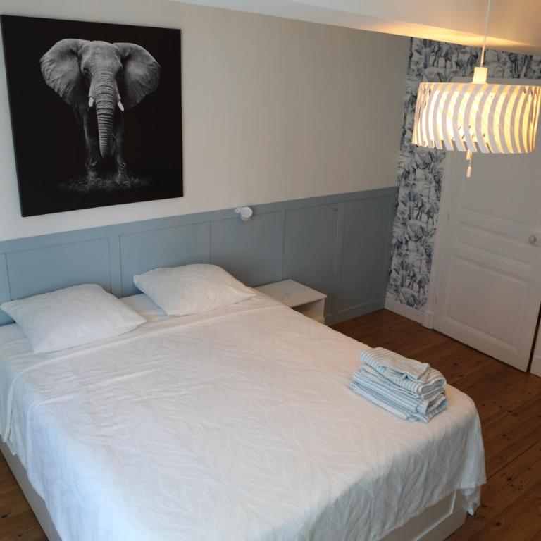Cocon chaleureux au cœur d'Albi - Maison 3 Chambres - 29