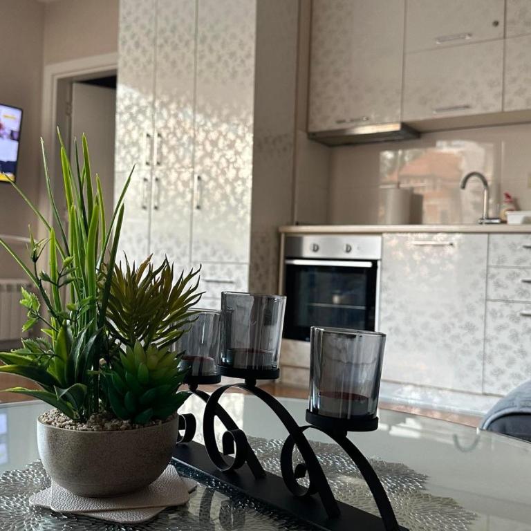 Branka - Apartman sa 1 Spavaćom Sobom - 3