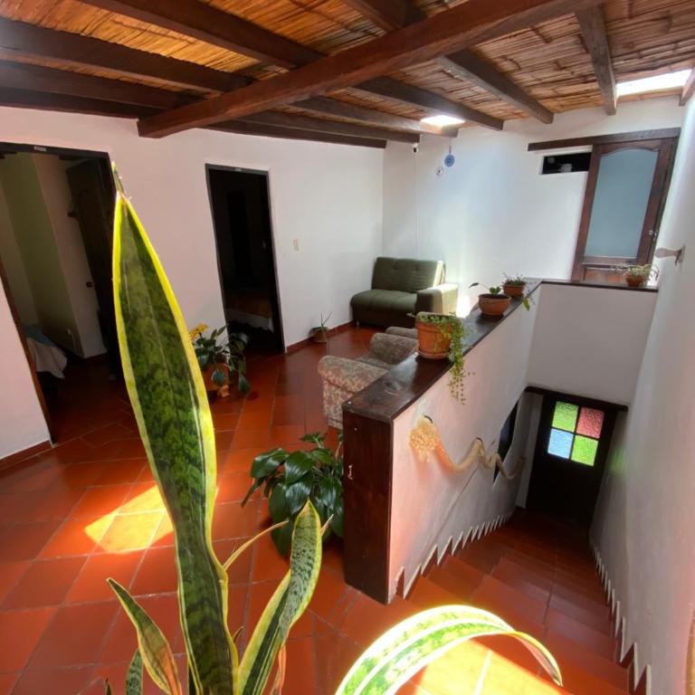 Hospederia Montano Alto - Habitación Doble Estándar - 4