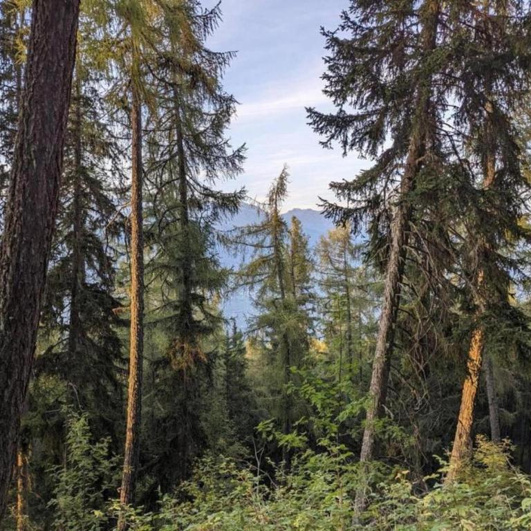 Chalet in Rhone Valley near Ski Lift - Superior Chalet - 24