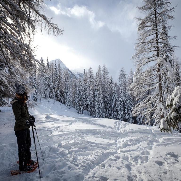 Chalet in Rhone Valley near Ski Lift - Superior Chalet - 28